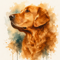 Custom watercolor pet portrait — golden retriever fine-art watercolor on canvas