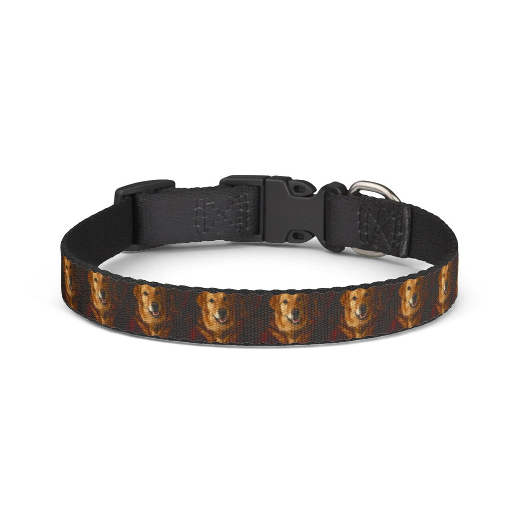 The Custom Pet Collar — Any Style