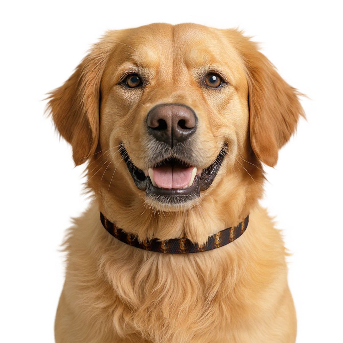 The Custom Pet Collar — Any Style